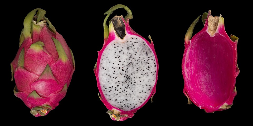 Dragon Fruit (Hylocereus spp., Selenicereus spp.): Comprehensive Cultivation, Processing, and Use Guide
