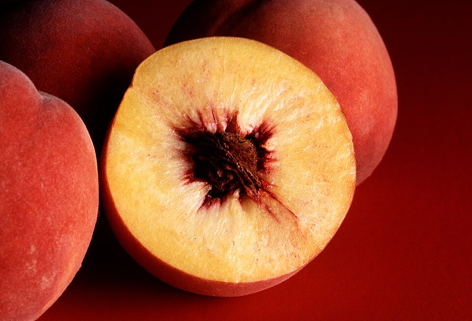 Nemaguard Peach Tree (Prunus persica ‘Nemaguard’): Comprehensive Cultivation, Sap Harvest, and Rootstock Use Guide