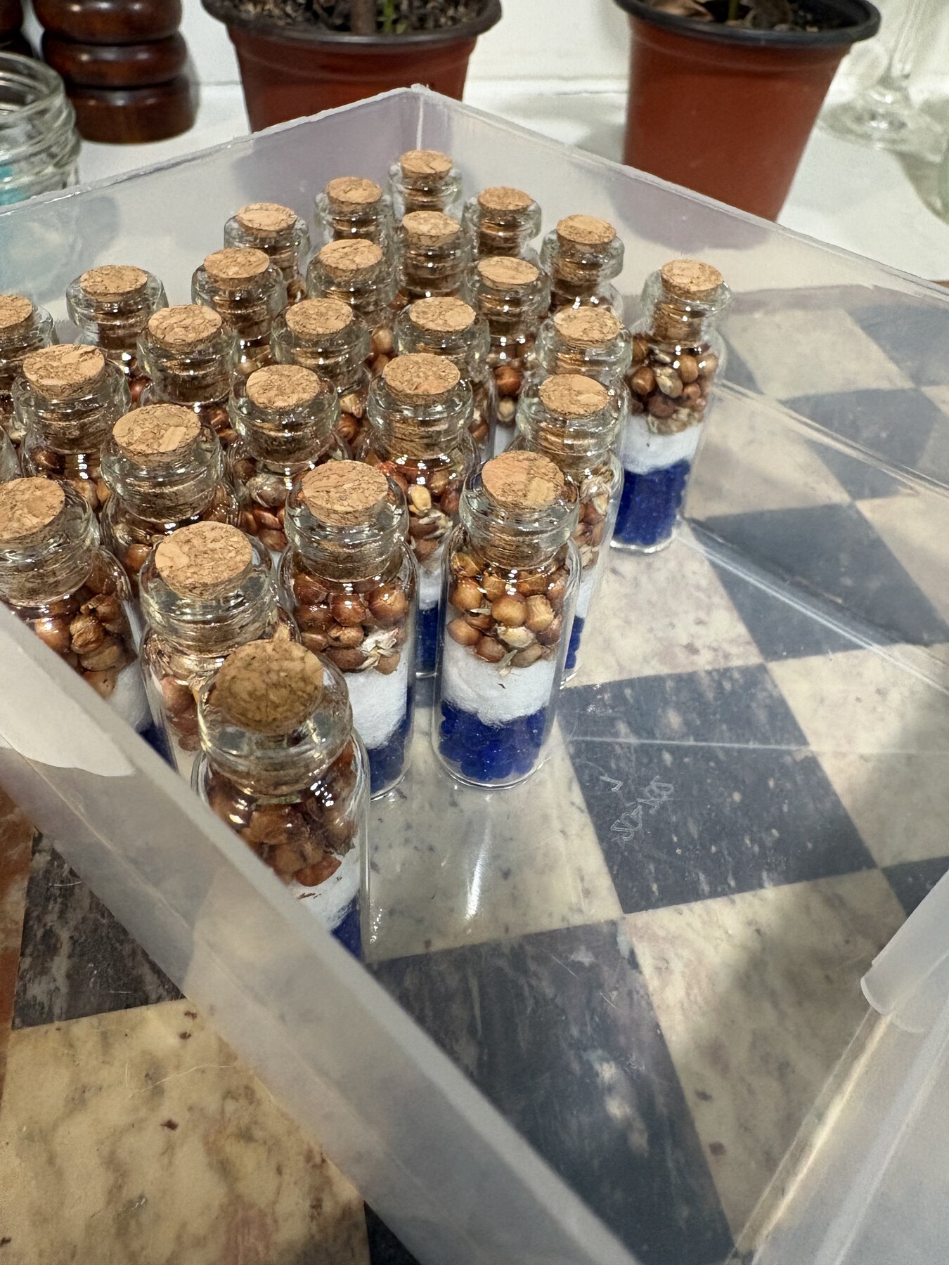 Heirloom seed