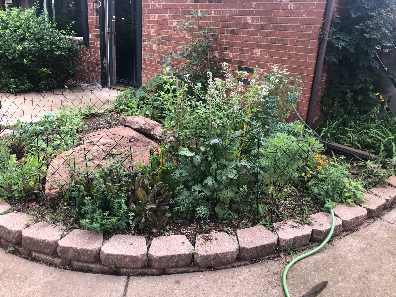 Nored Farms raised herb garden with brick edging