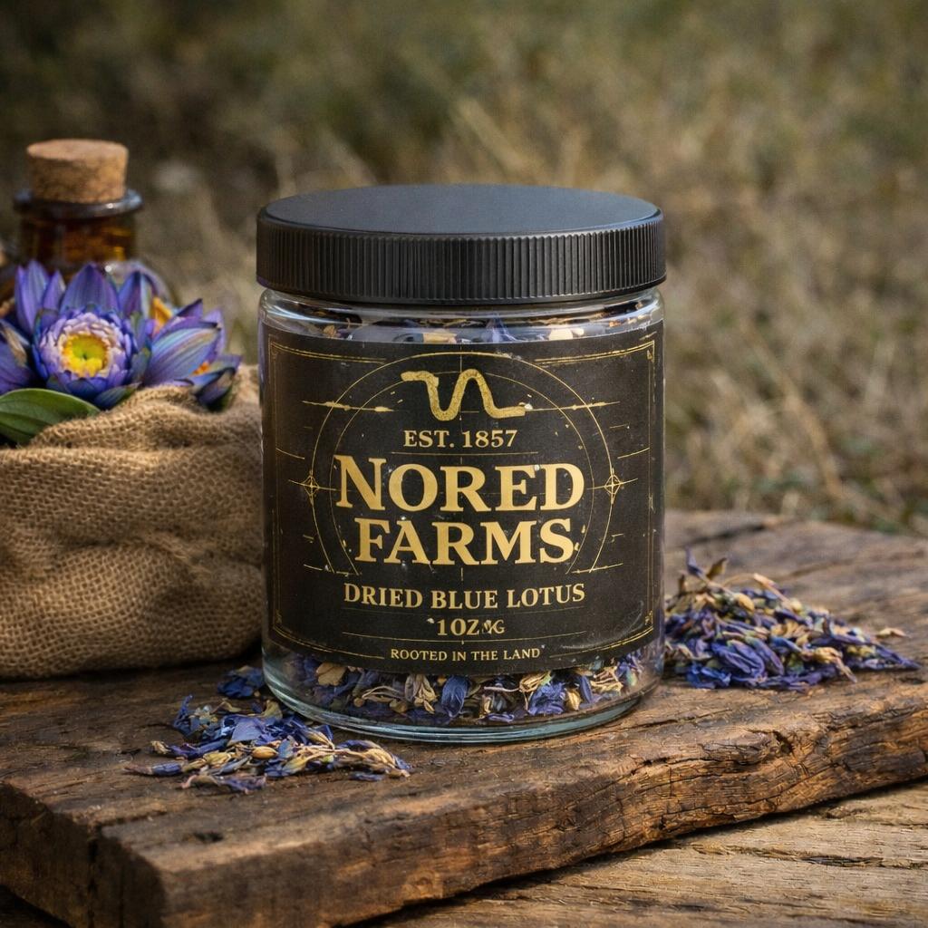 Dried botanical specimens - Nored Farms